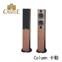 在飛比找momo購物網優惠-【CASTLE 城堡】英國 立體聲落地喇叭 音響(COLUM