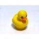 <樂高人偶小舖>正版樂高 LEGO 動物5 黃色小鴨 寵物 單隻價格