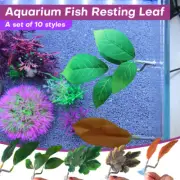 10Pcs Betta Hammock Decor Fish Resting Leaf Fish Resting Spot Aqarium Decoration