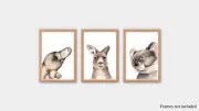 Platypus, Kangaroo, Koala Print Set - watercolour Australian animal prints