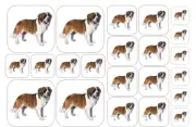 ST. BERNARD Dog Stickers - Multiple Size and Material Options