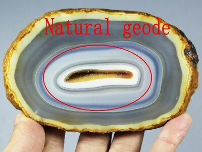 220g Natural flowers crystal slice agate geode quartz agate polished specimens