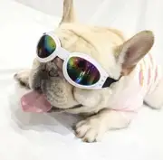 Dog Goggles | Pet Sun Glasses Eye Protection