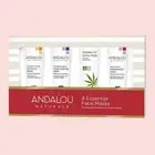 Andalou Naturals Skincare Essential Face Masks Get Started 4 Piece Kit with Box