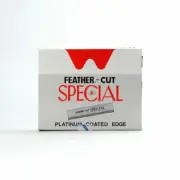 100 pcs Feather-Cut Special Stainless Platinum Coated Edge Razor Blades Hair Cut
