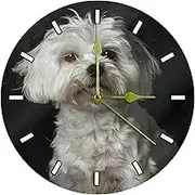 Wall Clock,Clocks for Bedroom,Battery Operated,White Dog Cute Bichon Frise,Round Silent Clock 9.85 in