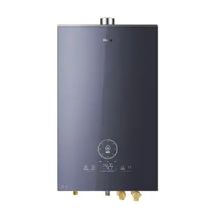 【Haier 海爾】20L五段火排強制排氣熱水器SA2基本安裝20 Salto Angel(NG1/FE式)