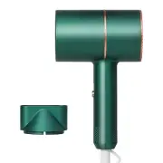 Professional Ionic Hair Dryer Powerful Blow Dryer Fast Drying Portable Travel US