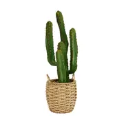 Artificial Cactus in Basket
