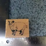 PIG PSX D-227