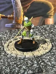 Shifter Druid D&D Miniature Dungeons Dragons Eberron monk fighter wizard 19 Z