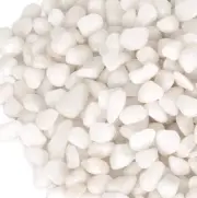White Pebbles Plants Garden Vases 4Lb Rocks Gravel Decorative Stones Aquarium