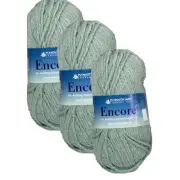 3 Skeins Plymouth Yarns ENCORE CHUNKY Bulky Acrylic Wool | #678 Green Frost