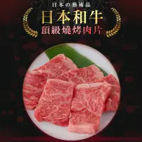 在飛比找PChome24h購物優惠-日本頂級A5和牛霜降牛肉片4盒組(100g/盒)