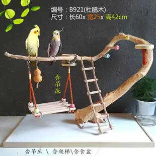 鳥站架 鸚鵡站架 鸚鵡架子 玄鳳牡丹中小型站架 樹根訓鳥架 樹枝鳥站架 站桿 實木『my4328』