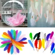 Natural Goose Feather Craft Colorful Party Decorations DIY Home