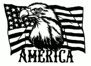 DXF DWG of PLASMA LASER AND ROUTER Cut -CNC US Eagle_Flag1