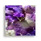 3dRose, Striking Purple, Violet, and Mauve Iris Abstract, Wall Clock