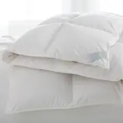 Scandia Home Salzburg Ultra Weight Down Comforter, Queen
