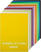ZACHMEST Color Cardstock 60 Sheets，12 Assorted Colors 250 GSM A4 Size Card Paper 8.5" x 11, Double Sided Printing Cardstock Paper, Thick Card Stock for Making Craft Scrapbooking Party