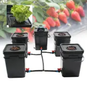 Hydroponics 20L Growing System Dutch Buckets DWC Completed System Aquaponics AU