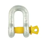 Pinnacle 8mm Galvanised D Shackle