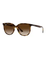 [Ray-Ban] RB4378 Tortoiose Sunglasses