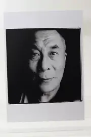 The DALAI LAMA, 1996 by Steve Pyke Art-Postcard NEW