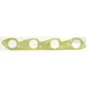 Platinum Extractor Gasket - HSM75