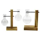 Plant Propagation Station Test Tube Hydroponic Rack Clear Propagating