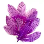 Under 6" Silver Pheasant Tail Feather x 10 pcs - Purple