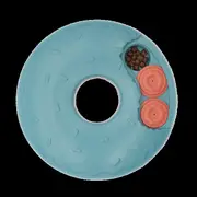 Zippypaws Interactive Puzzle Donut Slider Dog Toy