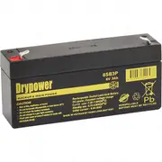 Drypower 6SB3P SLA Battery 6V 3Ah Rp BP3-6 PS630 DM6-3.2 DM6-3.3 HGL3.2-6 NP3-6