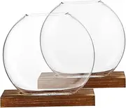 Toddmomy 2 Sets Nordic Style Glass Vases with Base Small Plant Holders for Home Decor Elegant Hydroponic Planters for Bathroom and Office Spaces