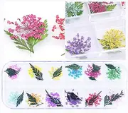 12 Color Dried Flowers & Leaves Nail Art 3D Decal, Beauties Factory Natural Style Tips Decorations Floral Box