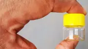 72X Tiny Small TRAVEL Storage Clear Bottles Glass Mini Jar 1" Vials 23x25 YELLOW