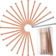 Frienda 3.5 Inch Copper Nails 20 Pack for Killing Tree, Long Stump Removal