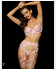New Honey Birdette Pink Heart Suspender Size Small