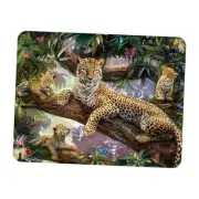 Magnet - from Deluxebase. Lenticular 3D Leopard Fridge Magnet. Treetop Leopards