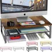 2-Tier Metal Monitor Stand Riser, Desk Organizer for Monitor, Office Desk Storag