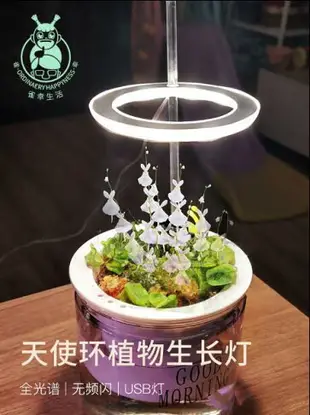 植物燈 多肉燈 光譜燈 植物光譜燈 全led燈 仿太陽燈 上色 室內 家用 燈管 usb 食蟲 多肉 補光燈