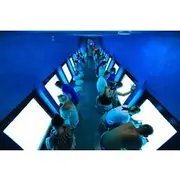 Save 5.93%! Conquest Semi Submarine & Snorkeling, Undersea Wonders - Hurghada