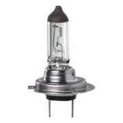 Ignite H7 70W Halogen Globe with PX26D Base - Pack of 1 - IGL2165BL