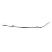05-10 CHRYSLER 300 FRONT BUMPER IMPACT MOLDING STRIP LEFT CHROME MOPAR 4805937AA