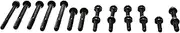 ARP 190-1502 Timing Cover Bolt Kit