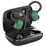 Sports Wireless Earbuds Earhook Running Bluetooth 5.3 Headphones With Dual Mic
