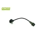 RAE Crankshaft Position Sensor - SC060