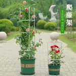 花架 爬藤架 植物攀爬支架固定室內支撐桿玫瑰花爬藤架子鐵線蓮盆栽月季花支架【PP00147】