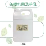 【台灣現貨、快速出貨】MIT台灣製造 茶樹抗菌洗手乳 一加侖 600ML 抗菌洗手乳 防疫必備 居家必備 洗手乳