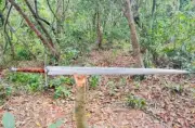 Handmade Carbon Steel 43" Fixed Blade Tactical Viking Sword Full Tang